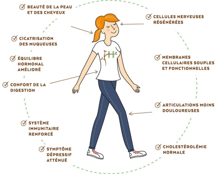 Bienfaits des omégas 3 sur le corps Holonage