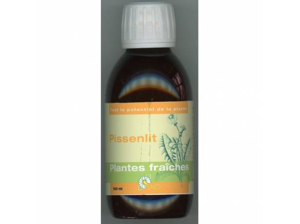 pissenlit-plantes-fraiches-bio
