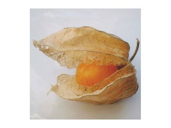 Baies de Physalis - DLUO 03/2019