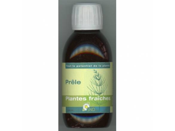prele-plantes-fraiches-bio-snd