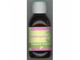 valeriane-plantes-fraiches-bio