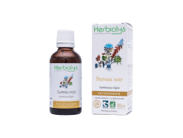 Phytothérapie de Sureau Noir Herbiolys