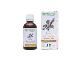 Phytothérapie Prêle des champs - 50mL - Bio- Herbiolys