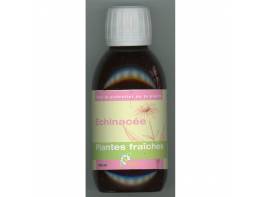 echinacea-snd-plantes-fraîches