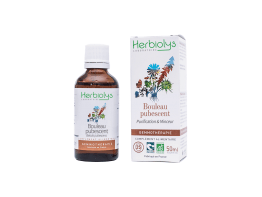 Gemmothérapie bouleau pubescent 50mL Herbiolys