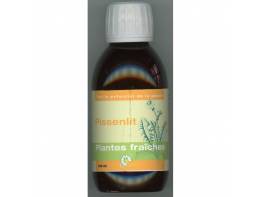 pissenlit-plantes-fraiches-bio